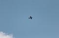 K T-20190825-150148_IMG_2419-7